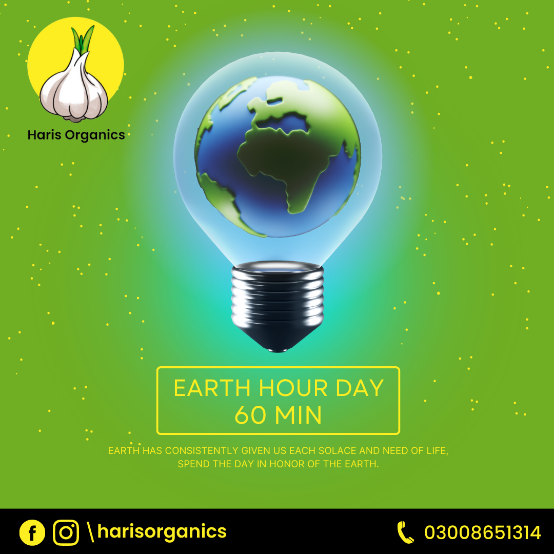 Website Maintenance Company in Pakistan